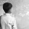trl_hfz01