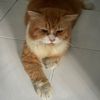 kiboyy25
