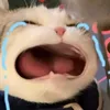 tranminhhiu_99