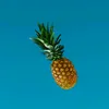 pineappl_drones