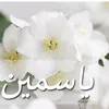 yasmine071980