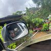 saiynam26