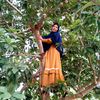 ini.iin.8