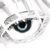 dalilstore1