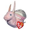 snailwearingshoes