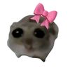 liza_pnjtn10