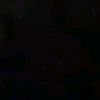 s_arangoo