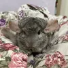kokosik_love_5