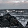 sea_house81