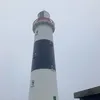 jimdalton60