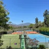 mrprodog1