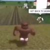 whyyoubald6