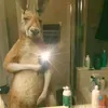xmartinchox