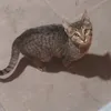 gonzaa.torrico