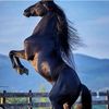 laberinto166