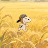 cocoykr