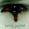 user451411026198