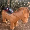 bugattiveyron23