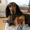 metalneeke