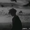 tyer033