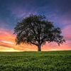 sunset33landscape