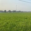 pm.angko.anuk