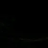 lizagrexx6
