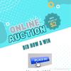 ddwauction