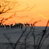 tom_wildphotography