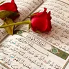usersanad1992