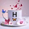 lens.hafiz