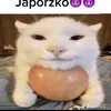 bartek.kocik