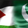ayeshasadiqqa6