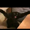 lukas_bln_11