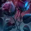 salar.sardar0