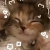 𝙏𝙧𝙖𝙫𝙚𝙡 𝙂𝙧𝙞𝙙.