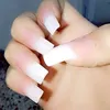19_m.81