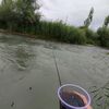sk14_top