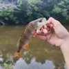 perchhunter13
