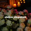 sintem_singattam_