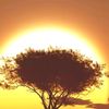 israel52360