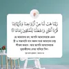 hmmahmudulhasan293