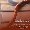 ahmadhassanturab1