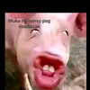 hqnuxl.tt