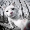 za_kyy62
