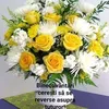 ionnicolae314
