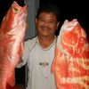 jalanihusin