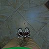 shiines08
