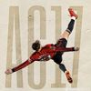 ami_sel.man