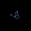 user210181202